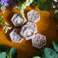 Botanical Wax Melt Pack Autumnal Cottage Collection