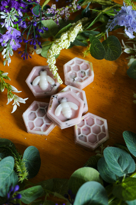 Botanical Wax Melt Pack