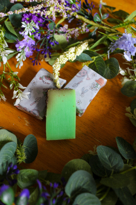 Rosemary Infused Shampoo Bars
